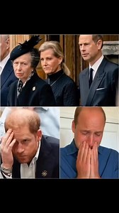 57K views · 81 reactions | 3 Minutes Ago! Harry bowed his head as he faced the royal family — a wave of sorrow hung over Buckingham Palace, and Prince William broke down in tears. Harry said nothing at first… only silence. Then, with visible regret, he spoke: “With a heavy heart, I’m deeply saddened to announce that…” What he revealed next shattered the Palace — and left the world in shock.... SEE MORE BELOW  [Please purchase a license | Everyday Vibes | Facebook