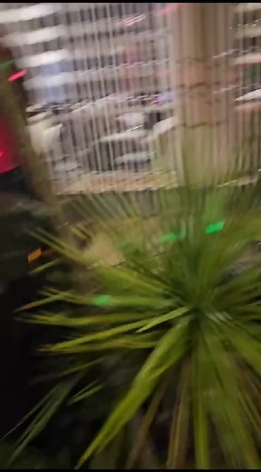 Vanakum , Sai Raam , Namaste, Namaskaram , Salaam and Good Evening All A classic and one of my favorite songs to serenade your evening And a special tribute to by Peri Annah , the late Mr Gopaul Verabadren - may his soul always rest in peace. | Edward Reddy