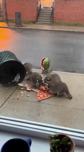 Pizza Wars | Alaline