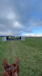 7K views · 535 reactions | Best seat in the house… jump on board Cheltenham winner & Listed placed mare MICK’S JET as she schools over hurdles with Joe Williamson. We are so excited for her debut  | Philip Kirby Racing | Facebook