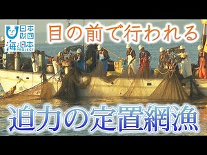 夏休みの子どもたちが氷見伝統の定置網漁を見学 日本財団 海と日本PROJECT in 富山県 2021 #38