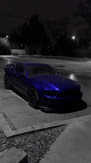 Mustang Enthusiast's Guide to S197 Model