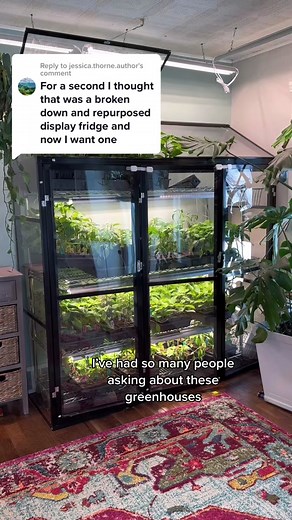 Greenhouse Info and Indoor Gardening Tips | MyDolceMoment