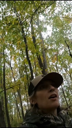 Awesome find by @katelynarmstr0ng and @louisianabowhunter on the first day scouting and hunting in Murphysboro, Illinois! 🔗Check out the Property they hunted: https://www.hlrbo.com/listing/index/57845 #hunting #bowhunter #whitetaildeer #shedantler #deerhunting #deerseason #bigbucks | Hunting Land Rentals by Owner