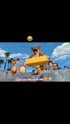 Animated Animals Have Fun in the Sun