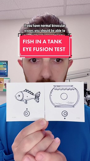 This Binocular Vision Test checks for your ability to cross your eyes and fuse the seperate images seen by each individual eye. This skill is called Fusional Convergence…. #bvdtest #bvd #visiontest #crosseyes #stereogram