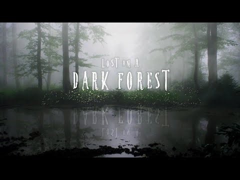 Dark Forest | Dark Misty Ambient Music