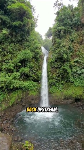 What Is an Event Horizon? | Black Holes Explained Simply