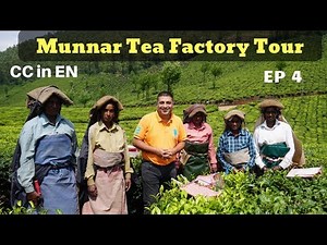 Munnar Tea Factory visit EP 4 | A to Z of Tea Orthodox Method