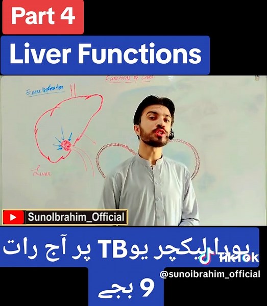Liver Functions: Understanding Its Metabolic Role