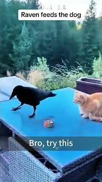 Funniest moments ever