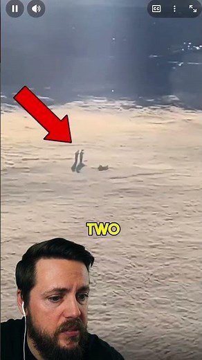 This is NOT What it Looks Like… 💀😭 #scary #scarystories #creepy