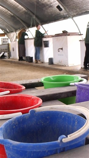 9.4K views · 307 reactions | What Does Assyria Have to Do with It?! A...