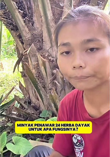 Minyak ni pun serbaguna. Tengah ada promo tau. ✨ #junglegirlbeauty #minyak24herbadayakjunglegirl