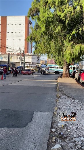 Amazing Bus Designs: A Celebration of Creativity