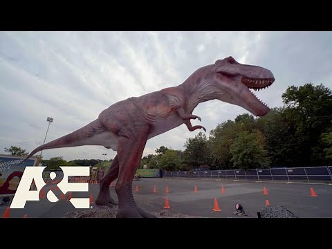 Shipping Wars: Transporting a TOWERING T-Rex Worth Over $100,000 (S9) | A&E
