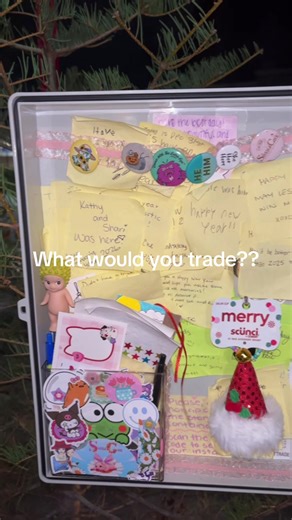 Cute Trinket Trade Box Ideas for Collectors