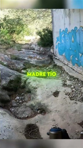 I'M ROOTED...😅 #graffiti #graff #spray