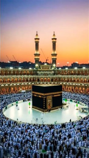 I Tried DreamScreenAI