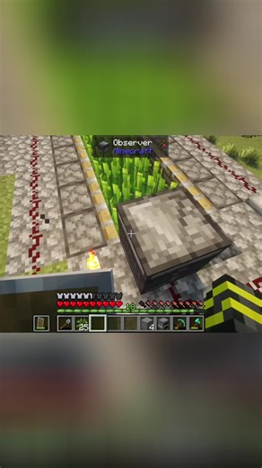 Automated Sugarcane Farming in Minecraft