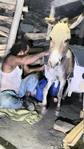 Deep dive into underground mining cave in jungle #minecraft #diamondminer #mining