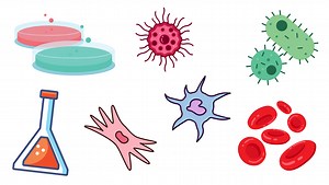 Stem Cell Awareness: What are stem cells and why research is important