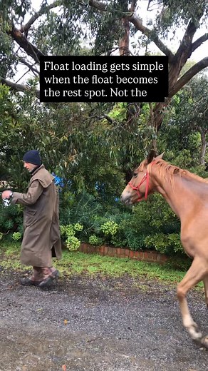 Most horses resist the float because it feels like pressure, danger, or a fight. Comment “natural” to find more details and get the right tools. But when you make the work happen awayfrom the float—circles, backing, yielding—the float becomes the quiet, safe place to breathe. Suddenly, they choose it. No dragging, no stress, just a calm horse stepping in because the float feels like rest, not an argument. #horse #horsefloat #bitlessriding #naturalhorsemanship #horsewhispering | Natural Horse Whi