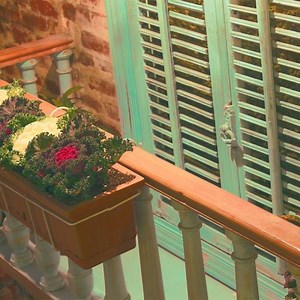 6.3K views · 106 reactions | Glimpse of Oldish | Oldish | Facebook