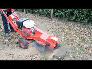 Stobbenfrees verhuur