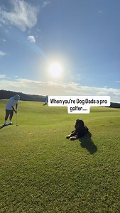 Follow @tomdavis for more! | Tom Davis Dog Training