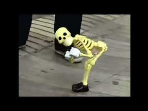 Goofy ahh skeleton