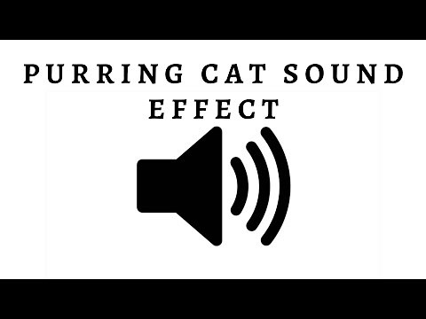 Cat Purring Sound Effect