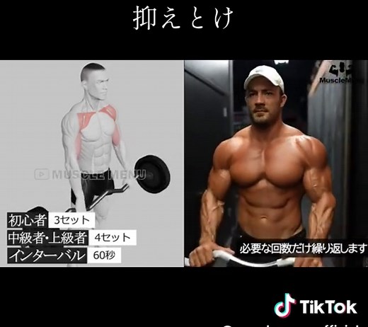 夏の筋トレ初心者向けメニューガイド