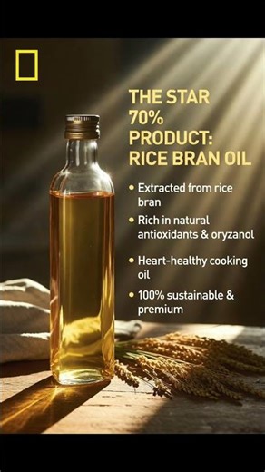 FROM ONE RICE GRAIN… TO EVERYTHING WE USE #EcoFriendly #GreenFuture #SustainableProducts #DidYouKnow