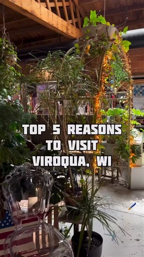 Marissa Younger on Instagram: "📍Viroqua, WI - A historic downtown with a lively community Natural beauty and a gorgeous downtown district? Mmhmm, Viroqua’s got it going on! We loved searching for murals as we walked through the streets. We stumbled upon their farmers market, filled with locally made goods, some crafted by the Amish! Our visit was completed with a tasty meal at Driftless Cafe, a farm-to-table spot with an ever-changing menu and beer garden. This is a town that offers a little bi