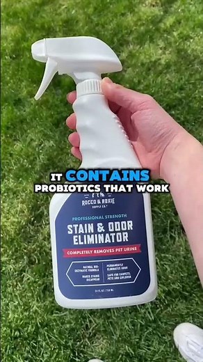 Rocco & Roxie Stain & Odor Eliminator | Enzyme Pet Urine & Carpet Cleaner, 32oz