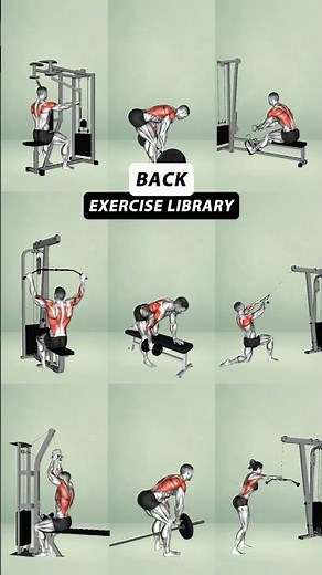 Ultimate Gym Back Workout for a Stronger Body - No Excuses #gym #yoga #buildmuscle #workout