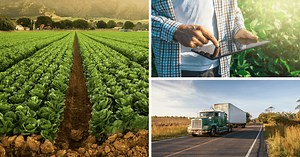 Join Our Team at iTradeNetwork