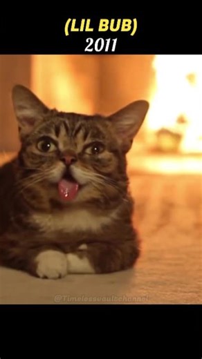 Legendary Cat Memes That We've Lost 💔 (Then vs Now) 2026 #shorts