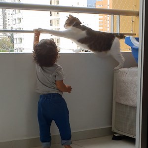 These pets will do anything for their little humans...🥺👊 | Tyla