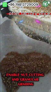 Nut Processing Machine for Cashew Almond Peanut Walnut Pecan Macadamia Nuts Cutting
