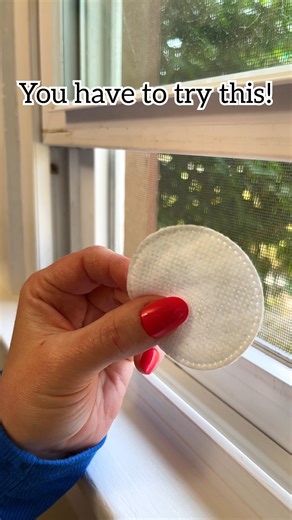 3.7M views · 8.6K reactions | 者 Use a mix of clove and peppermint oil to repel bugs from entering your home through open windows! #PestControl #bugs #summertime #tipsandtricks #lifehacks | Jeff & Lauren | Facebook