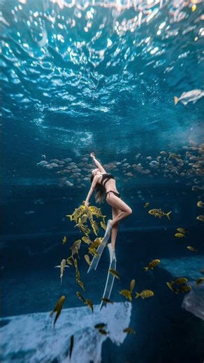 Dive into the deep blue 🌊Capturing underwater photography