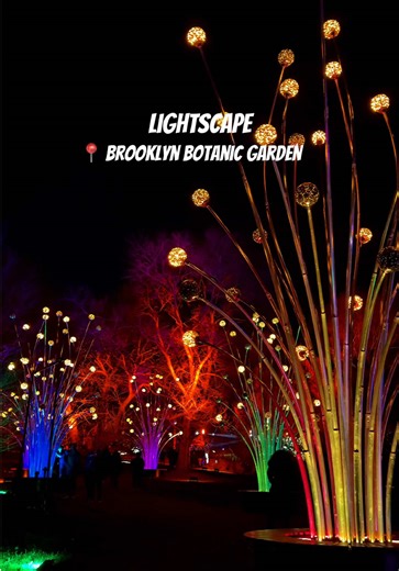 The most beautiful light show is back at @Brooklyn Botanic Garden! Last year was my first time at Lightscape, and I went in without checking social media first (shocking, I know…) — and it ended up being the best decision. This footage is from 2024, and yes, it’ll look different this year… but honestly? That’s part of the fun. Go in fresh, let yourself be surprised, and I promise the experience will hit even harder, and be that much more magical. Lightscape is running now through January 4th! #n