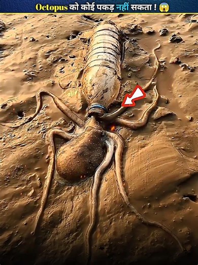 Octopus Escape Trick 😱 #shorts