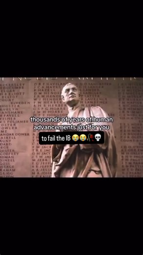 International Brainrot | IB Memes on Instagram: "Somebody’s life btw lol follow for more IB memes 😃 #ib #ibmemes #ibo #ibdp #relatable"