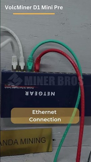 🚀 Volcminer D1 Mini: Your Gateway to Dogecoin Mining! 🐕