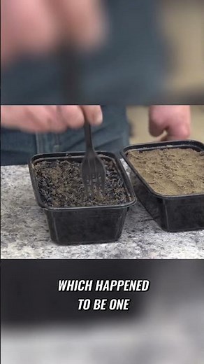 Unlocking the Growth Potential of Biochar in Soil: A Game-Changing Experiment!