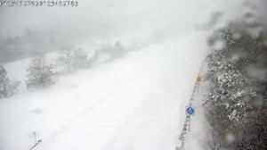 Watch blizzard slam Cape Cod region with live traffic cameras. Sort of
