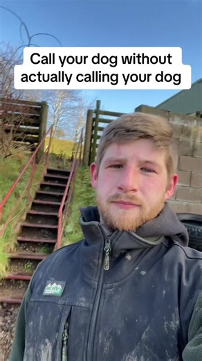 #onthisday funny dog #dog #dogsoftiktok #fyp #tik_tok | dog videos